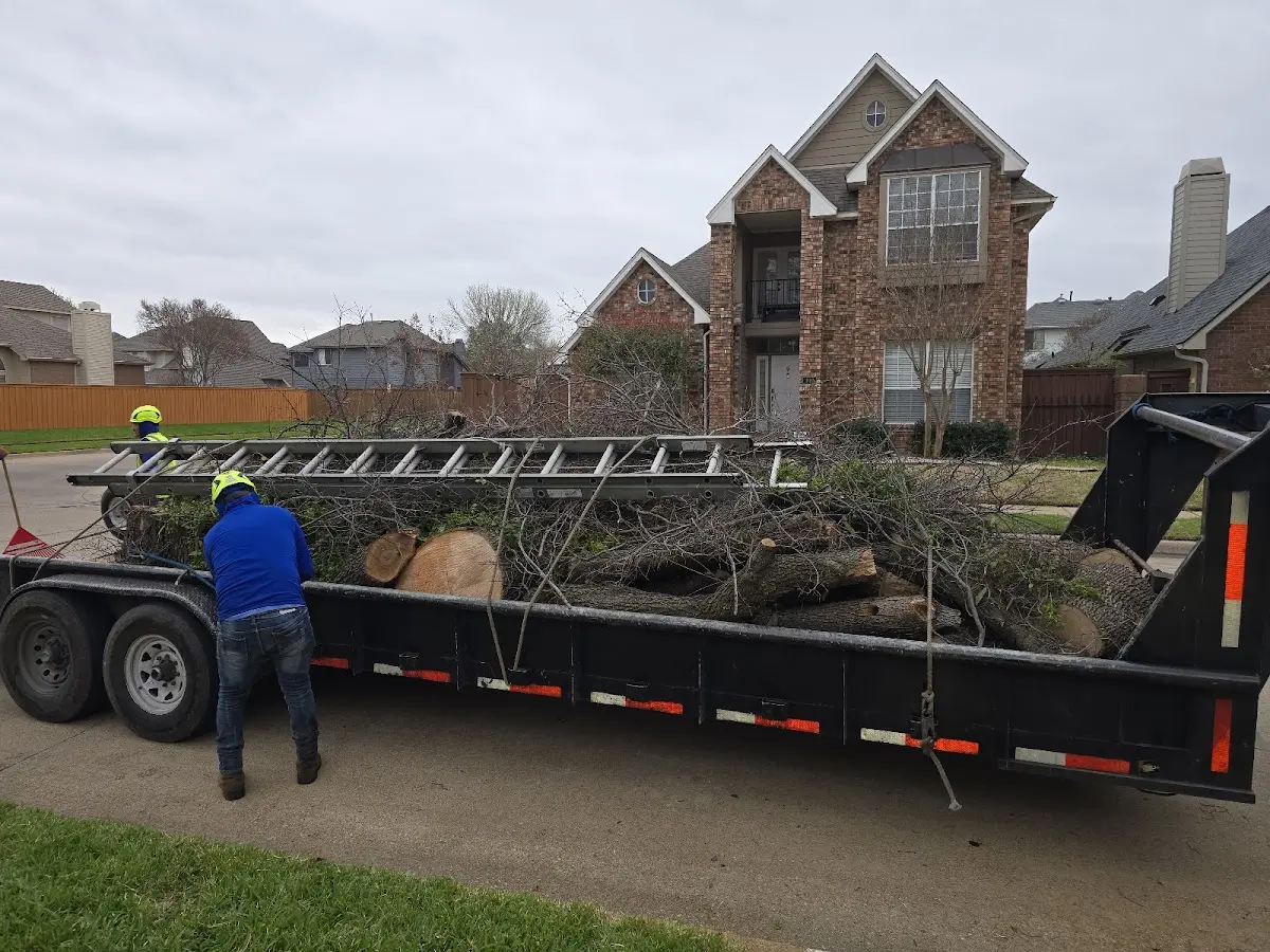 Expert Crown Reduction with proper safety equipment in Fouke